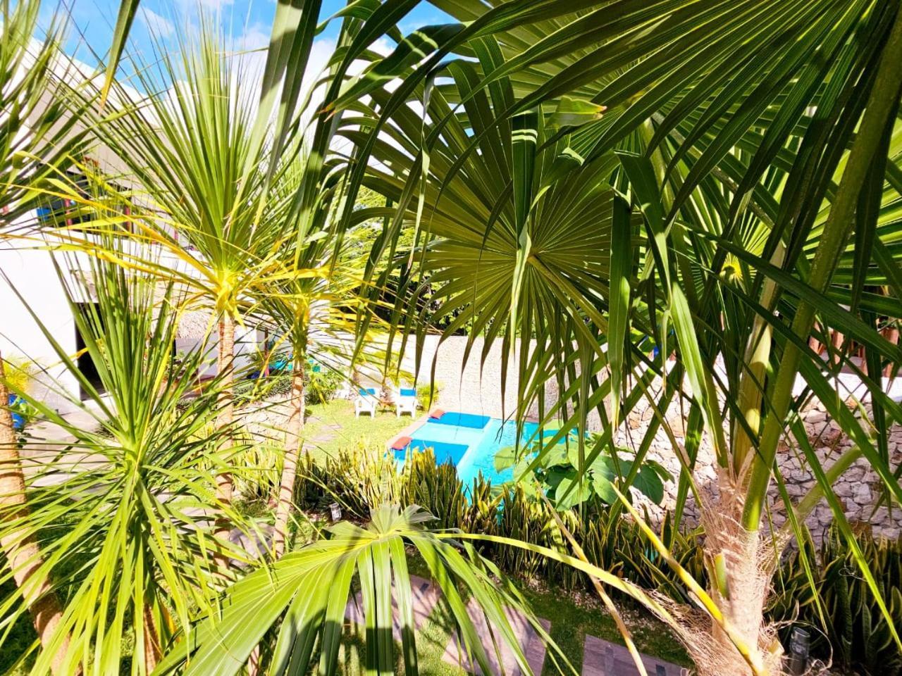 Mayan Majesty Boutique Hotel Valladolid  Ngoại thất bức ảnh